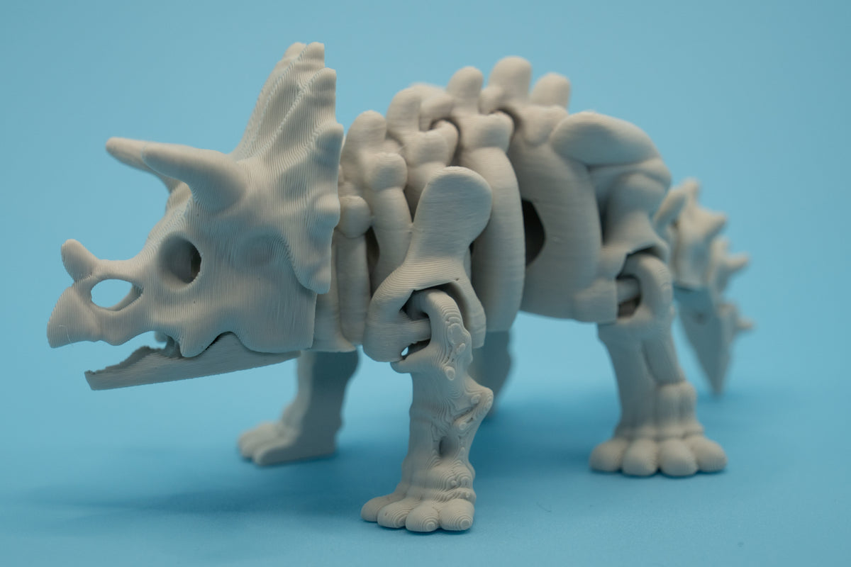 Dinosaur Skeletons-thumbmail-7