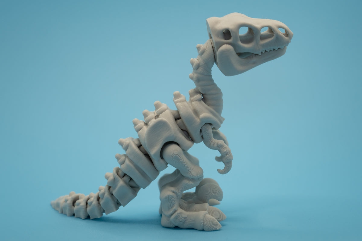 Dinosaur Skeletons-thumbmail-5