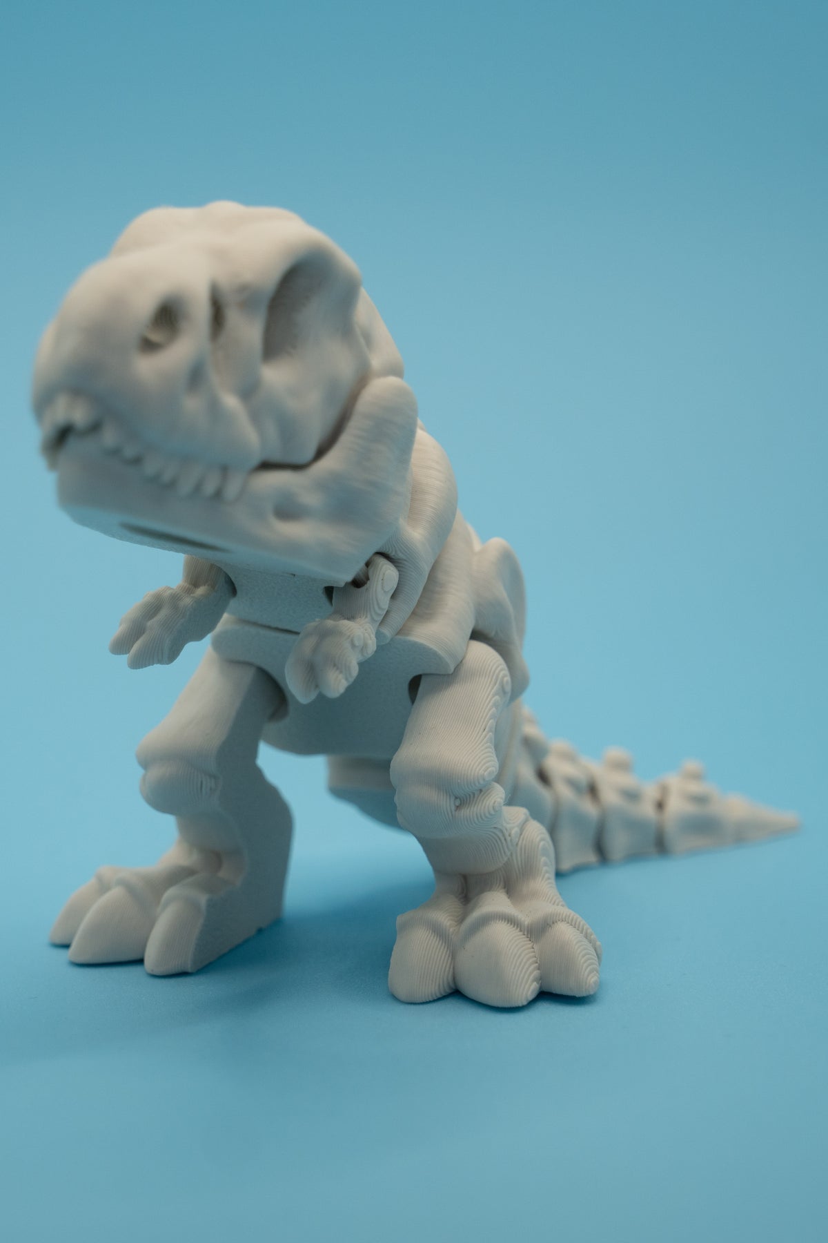 Dinosaur Skeletons-thumbmail-3