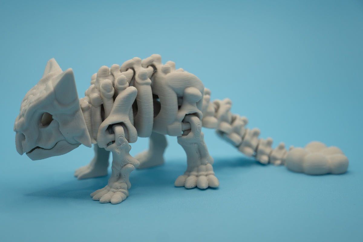 Dinosaur Skeletons-thumbmail-2