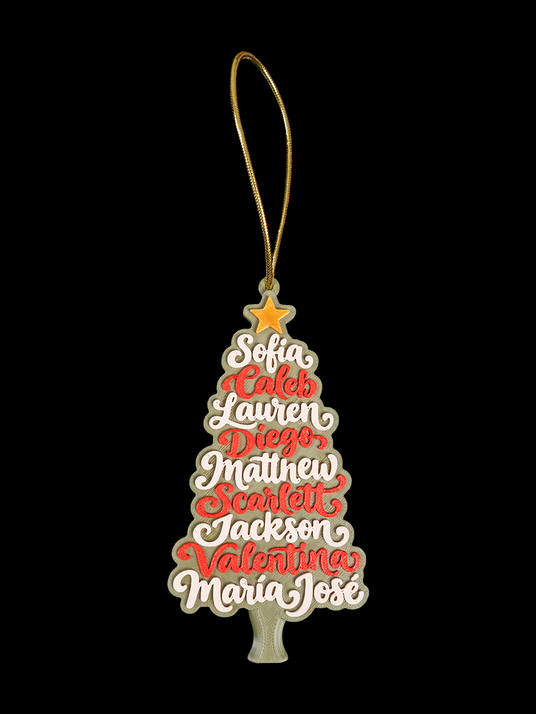 Family Christmas Tree-thumbmail-27