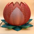 Starlight Mars/Cream White