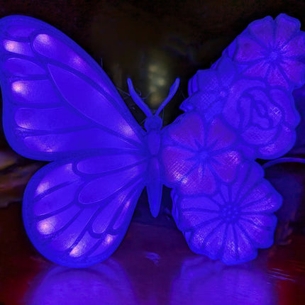 Butterfly Flowers Lightbox