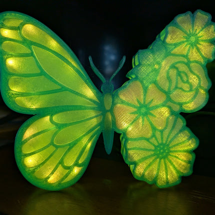 Butterfly Flowers Lightbox