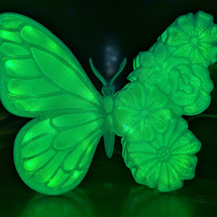 Butterfly Flowers Lightbox