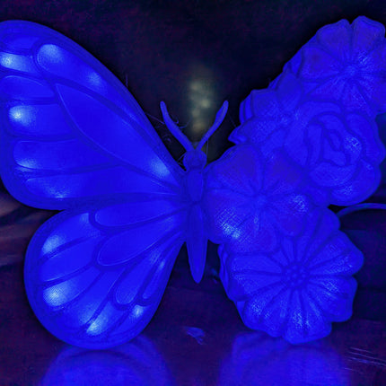 Butterfly Flowers Lightbox