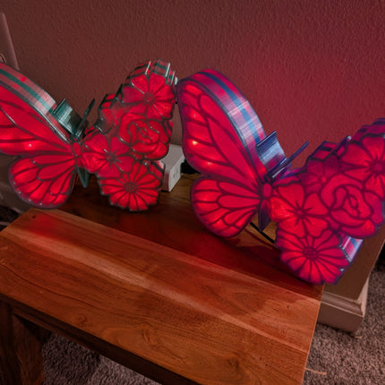 Butterfly Flowers Lightbox