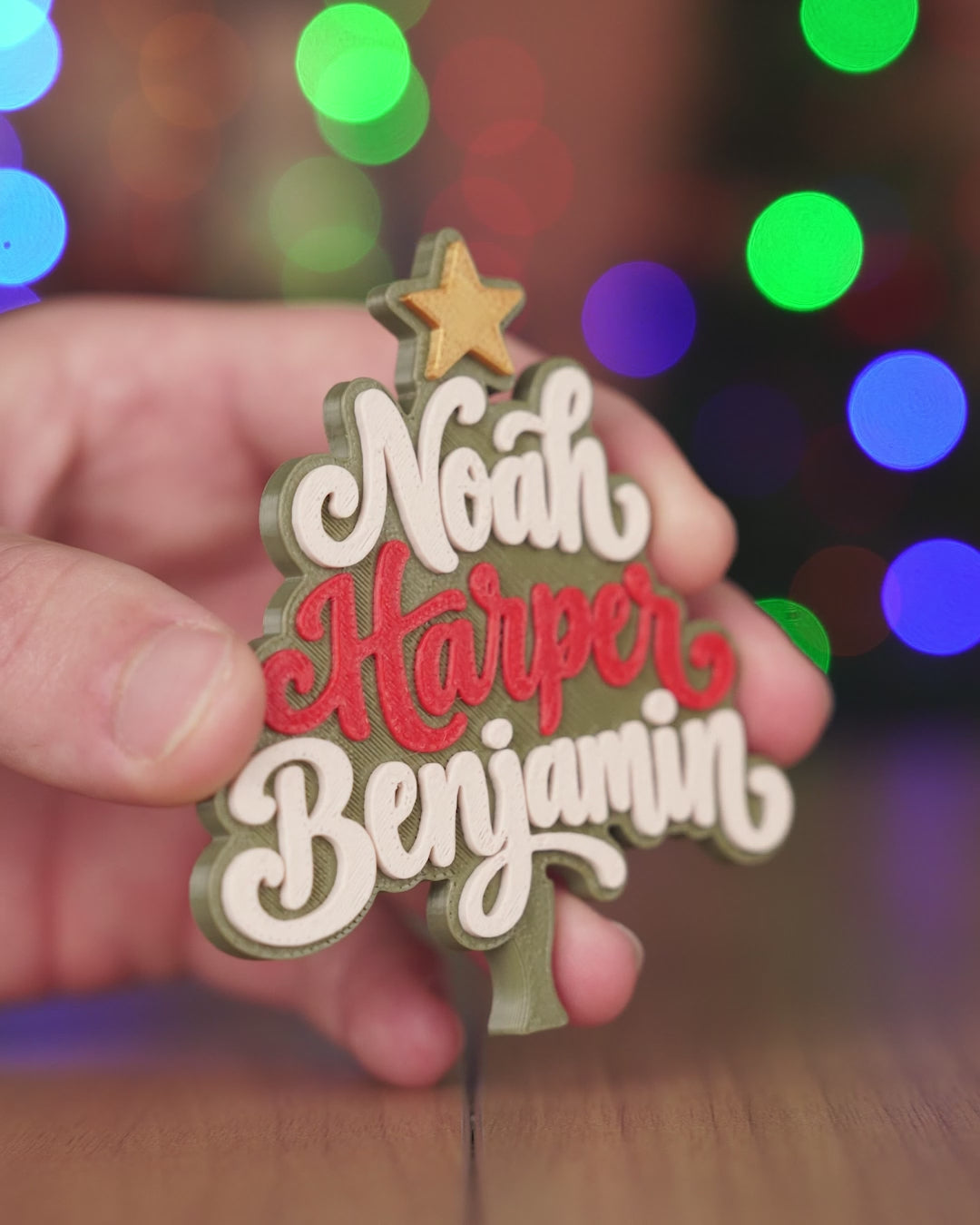 Family Christmas Tree-thumbmail-17