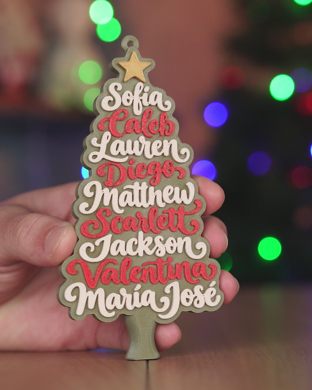Family Christmas Tree-thumbmail-28